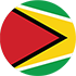 copaoro-flag-guyana