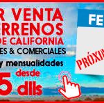 Desert-Realty-Small-banner-editable-pROXIMAMENTE