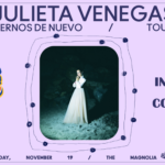 Julieta Venegas