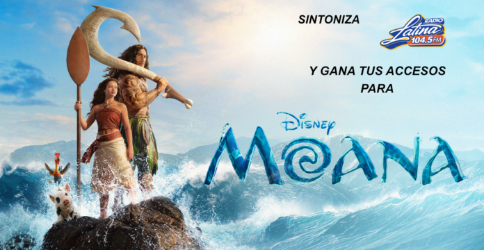 Moana Web